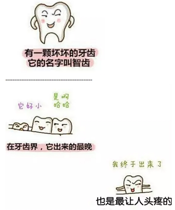 【口外科普】圖解為什么大部分智齒需要拔除？