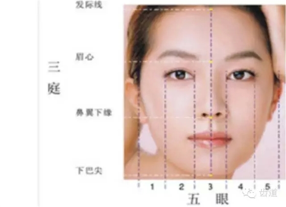 牙醫(yī)基礎(chǔ)知識：口腔頜面部應(yīng)用解剖生理