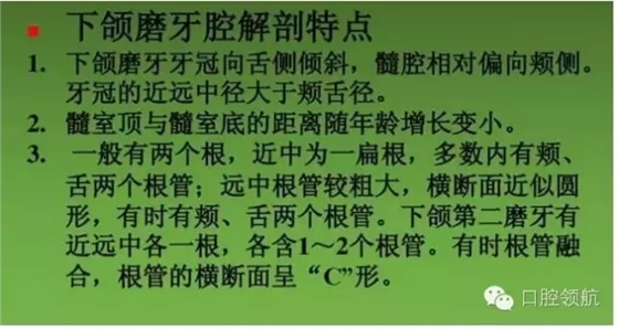 開髓術