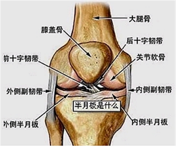 膝關(guān)節(jié)痛要注意什么