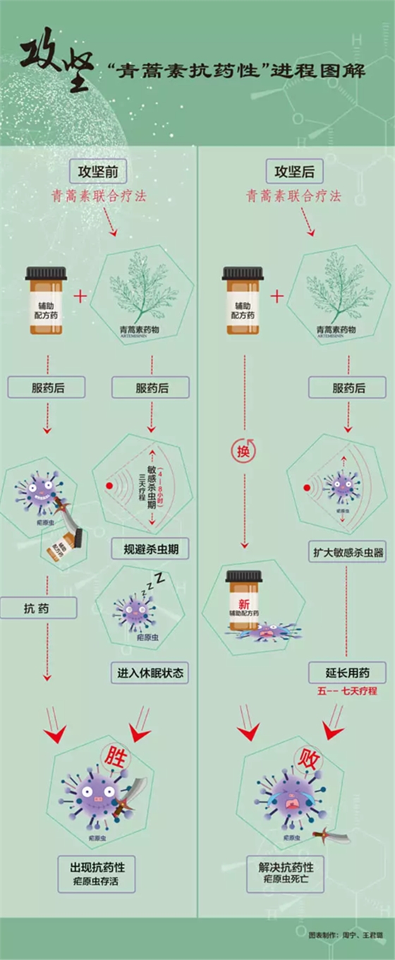 屠呦呦團隊新突破！
