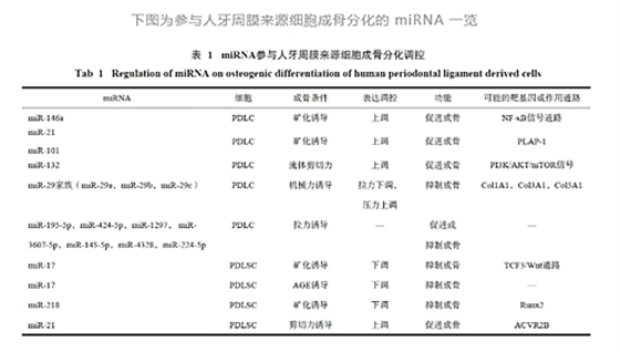 	貼面備牙知多少？
