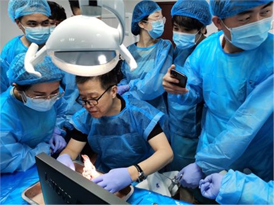 張東星老師杭州微創拔牙課實操培訓分享
