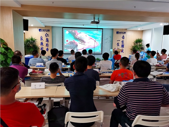 張東星老師南寧站微創拔牙實操課——宇森電動馬達助力