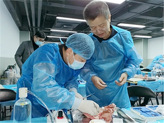 張東星老師上海微創拔牙實操風采 張東星老師上海微創拔牙實操風采