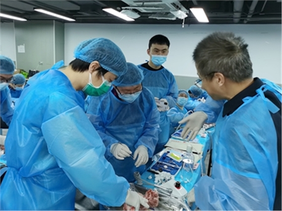 張東星老師上海微創拔牙實操風采 張東星老師上海微創拔牙實操風采