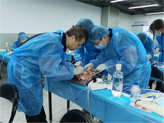 張東星老師上海微創拔牙實操風采