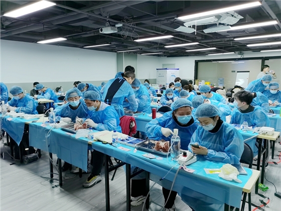 張東星老師上海微創拔牙實操風采 張東星老師上海微創拔牙實操風采