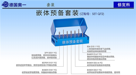 德國奧一修復(fù)車針嵌體預(yù)備套裝