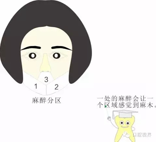 【愛牙科普知識300問】 “什么是活髓切斷術(shù)？”