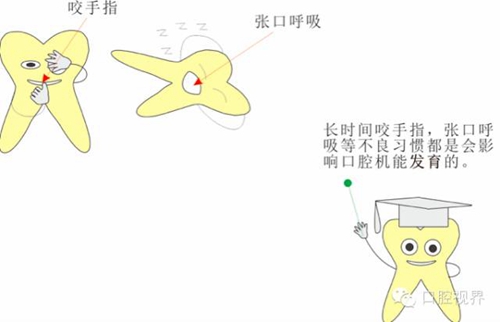 【愛牙科普知識(shí)300問】 “什么是融合牙、愈合牙和雙生牙？”