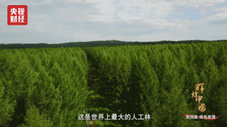 小崔的曝光讓人震驚？然而今天，這些人才是值得去曝的！