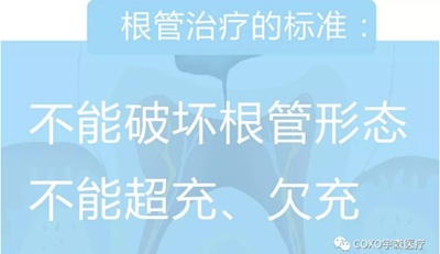 多頻技術的根管長度測定儀