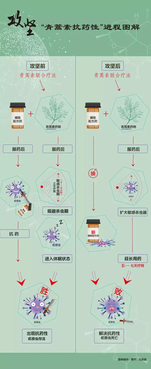 屠呦呦團隊新突破！