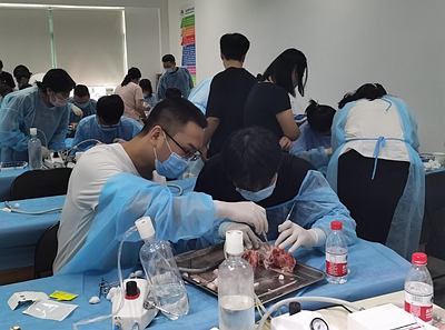 張東星老師南京微創拔牙教學