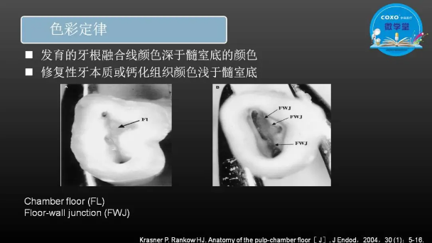 （第二十五期）微學堂回顧